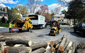  Nanuet, NY Tree Care Pros