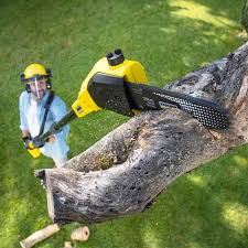 Best Pest Control for Lawns  in Nanuet, NY